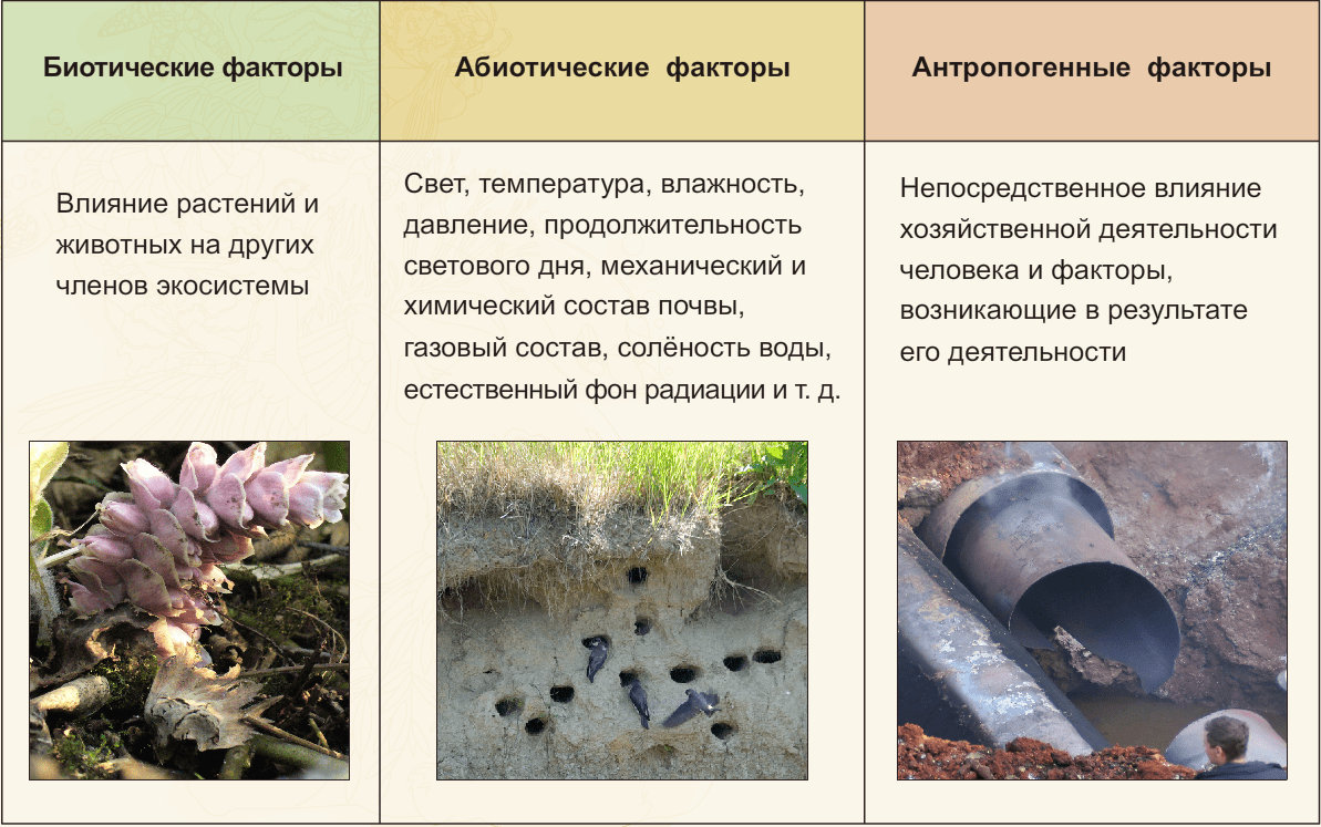Факторы среды