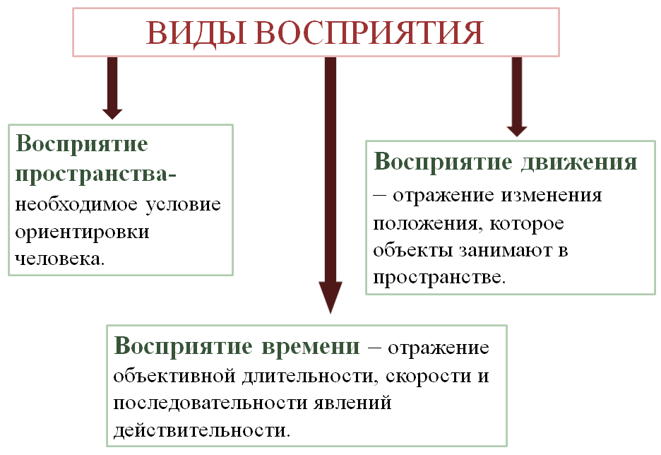 ПОЗНАВАТЕЛЬНЫЕ ПРОЦЕССЫ