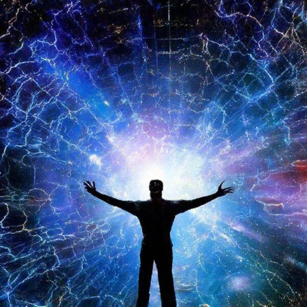 Место человека в системе органического мира